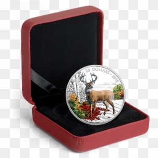 Wandering White-tailed Deer - Canadian Silver Coin 2017 Year Of The Rooster, HD Png Download
