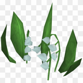 Lily Of The Valley Transparent Png - Lily Of The Valley Png, Png Download