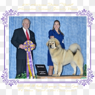 Biss Gch Ch Noble Legacys Flawless Gem - Ancient Dog Breeds, HD Png Download