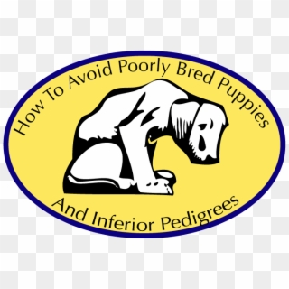 Another Indication That The Breeder You Found Online - Stop Puppy Mills, HD Png Download