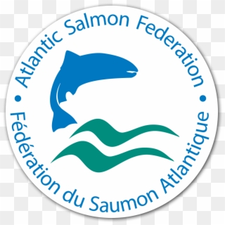 Atlantic Salmon Federation, HD Png Download