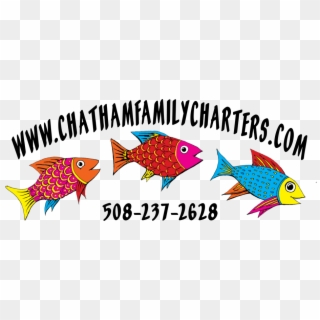 Chatham Family Charters - Coral Reef Fish, HD Png Download