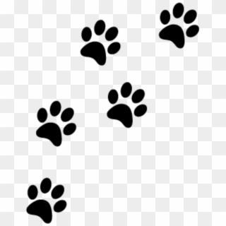 Free Free Kitty Paw Svg 519 SVG PNG EPS DXF File