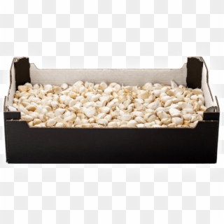 Unpeeled Garlic Cloves 1,850 Pieces In A Box - Earrings, HD Png Download