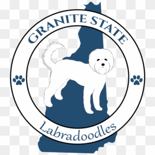 Granite State Labradoodles - Companion Dog, HD Png Download