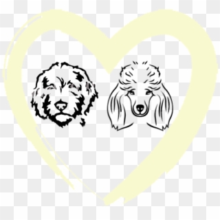 Goldendoodle & Poodle Puppies - Heart, HD Png Download