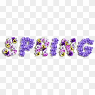 Purple Spring Clipart , Png Download - Violets Spring, Transparent Png