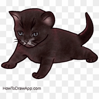 Draw A Black Kitten - Black Kitten Drawing, HD Png Download