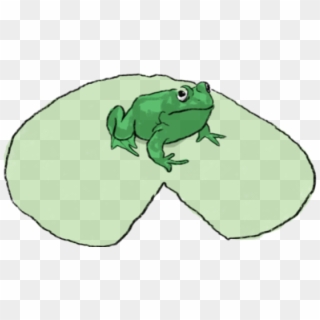 Drawn Frog El Coqui - Toad, HD Png Download