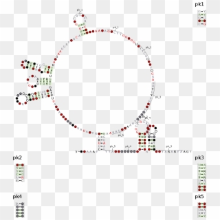 Arrpof Rna Motif - Circle, HD Png Download