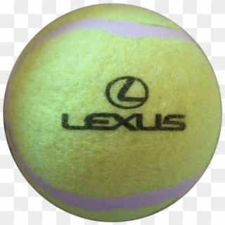 Promotional Tennis Balls For Dogs - Circle, HD Png Download