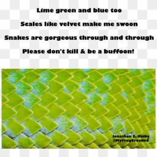 Don't Kill Snakes Too Many People Still Kill Snakes - Style, HD Png Download