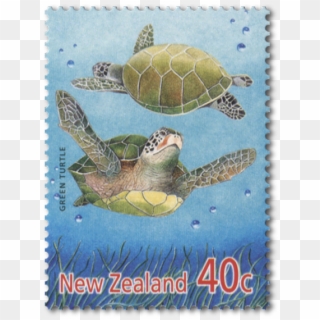 Product Listing For 2001 Year Of The Snake - Kemp's Ridley Sea Turtle, HD Png Download