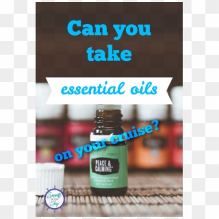 Can You Take Essential Oils On A Cruise With You How - Me You, HD Png Download