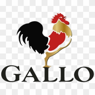 Next - Azeite Gallo, HD Png Download