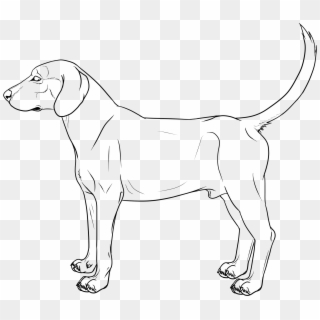 15 Bloodhound Drawing For Free Download On Mbtskoudsalg - Line Art, HD Png Download