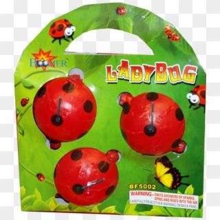 Lady Bugs - Ladybug, HD Png Download