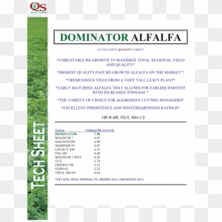 Dominator-alfalfa - Dutch Oven, HD Png Download