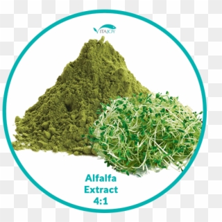 Alfalfa Extract - Moss, HD Png Download