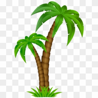 Free Png Download Palm Cartoon Png Images Background - Cartoon Transparent Background Palm Tree Png, Png Download