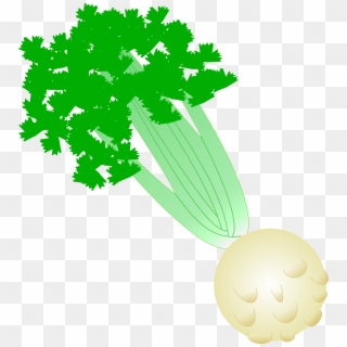 This Free Icons Png Design Of Celery With Root, Transparent Png