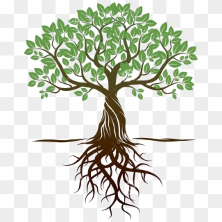 Roots - Tree With Roots Background, HD Png Download