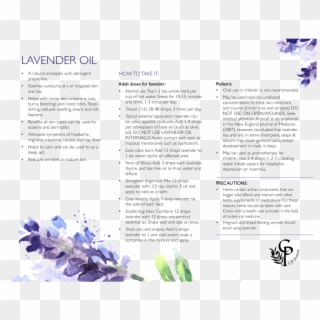 Lavender, HD Png Download