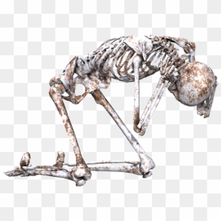 Skeleton, Pose, Skull, Bones, 3d, Kneeling, Png - Skeleton Pose Png, Transparent Png