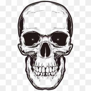 Bone Skull Png Image Background - Skull Head Drawing Transparent Background, Png Download