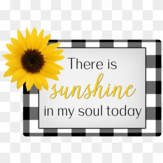 Sunshine In My Soul - Sunflower, HD Png Download