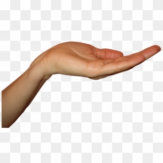 Single Hand Png Photo - Holding Out Hand Png, Transparent Png