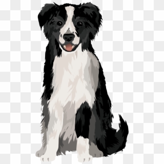 Intensive Training Programs To Make Your Dog A Rock - Border Collie, HD Png Download