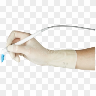 Transparent Png