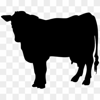Cattle, HD Png Download