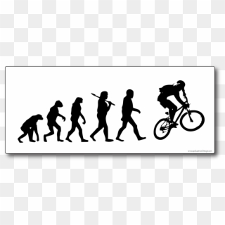 Graphic Library Library Mountain - Mountain Bike Evolution, HD Png Download