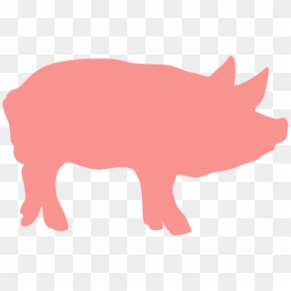 Transparent Png