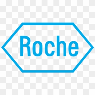Roche Transparent, HD Png Download