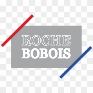 Roche Bobois Logo Png Transparent - Statistical Graphics, Png Download