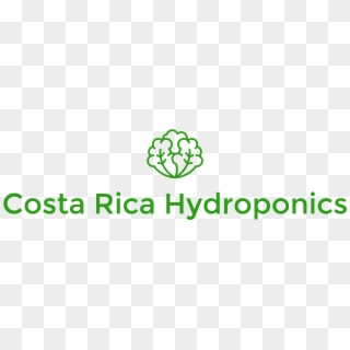 Costa Rica Hydroponics-logo - Lettuce, HD Png Download
