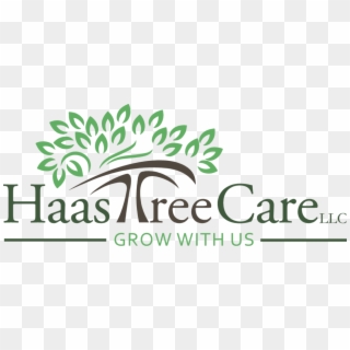Haas Tree Care, Llc Is A Professional Tree Care Company - Bernard Gilpin Primary School, HD Png Download