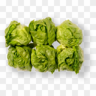 Little Gem - Brussels Sprout, HD Png Download