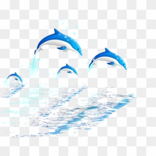 #mq #dolphin #dolphins #water #swimming #jumping #animal - Illustration, HD Png Download