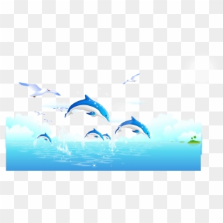 Dolphin Whale Wallpaper - 海豚, HD Png Download