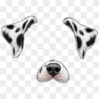 #dog #dalmatian #puppy #filter #snapchat #filters - Snapchat Dog Filter Png Dalmatian, Transparent Png