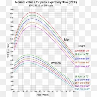 Normal Values For Peak Expiratory Flow - Peak Flow Normative Data, HD Png Download