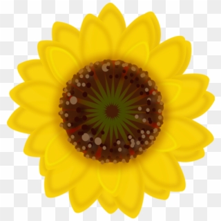 Drawing Sunflowers Daisy - Yellow Small Flower Png Transparent, Png Download