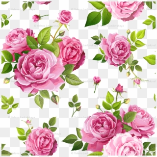 Lovely Rose Flower, HD Png Download