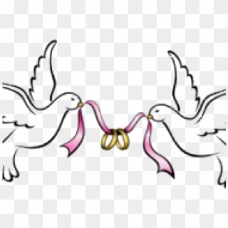 X Carwad Net - Clipart Wedding Dove Png, Transparent Png