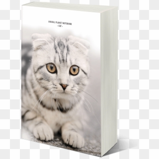 Chose Your Notebook And Buy It At Amazon - Cat, HD Png Download