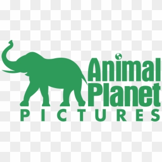 Animal Planet, Ait, Donkey, Schelle-price, Horsebro, HD Png Download